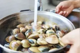 蛤蜊清洗有窍门 放入铁钉自吐沙