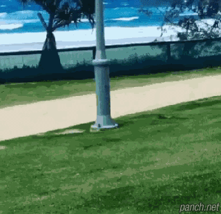 ЦGIF10뿧ଷۣûսɹı