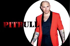 光头大叔 Pitbull 经典音乐 动感至极视频封面