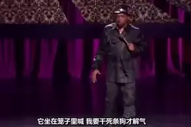 斗牛犬和哈巴狗的区别，黑小伙：就像白人遇见流浪狗和流浪汉一样