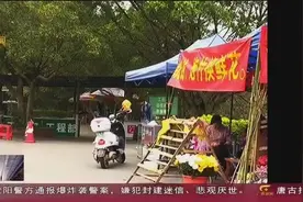 清明祭扫高峰将至 广西烈士陵园实施单向通行视频封面