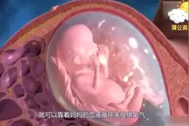 好奇怪：为什么胎宝在羊水里包裹着不会淹死？答案令人不可思议！视频封面