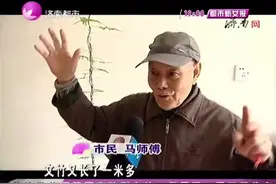 40公分长到4米多！养了20年的文竹突然猛窜，成为“参天大树”视频封面