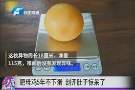 肥母鸡5年不下蛋  剖开肚子惊呆了视频封面