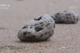 海浮石为什么能治疗咳嗽？专家现场为你答疑解惑，长知识了视频封面