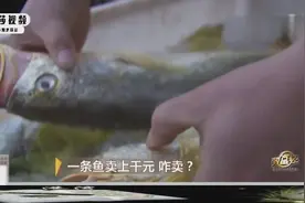 浙江野生大黄鱼，贵似黄金，一条6斤重，卖8000元一条视频封面