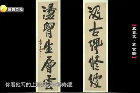 袁世凯儿子袁克文的五言联，藏友拿来请专家鉴定，听到估价乐坏了视频封面