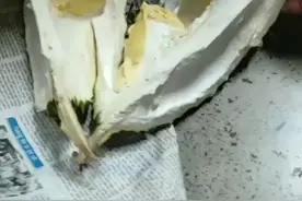 天天吃榴莲，真的会上火视频封面