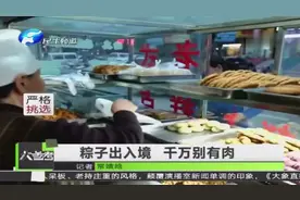 粽子出入境 千万别有肉视频封面
