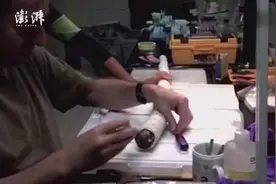 辣眼睛！菲律宾挖出1米5的巨型黑船蛆 可食用视频封面