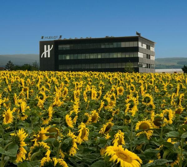 һö�ں��˸߿Ƽ����������ε����ģ�̽����ʿ�������