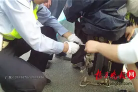 女子裙子卷入电动车轮 交警为其披上雨衣化解尴尬图片