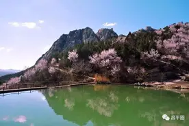 昌平这个镇要火了！好吃又好玩，还有钱拿……图片