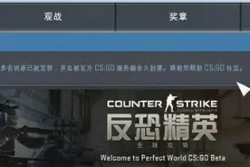 挂X去死吧！《CS:GO》国服正式迎来首封！图片