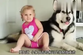 小主人突然亲了狗狗一口，旁边狗狗的反应真是太暖心了！