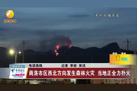 商洛市区西北方向发生森林火灾，消防正全力扑火