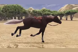 小马驹和大骆驼上演速度对决，这坐骑果真不盖的，镜头全纪录视频封面