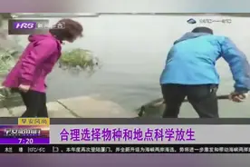 关于放生的注意几点事项！合理选择物种，放生地点也要科学选择视频封面