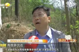 “牧童遥指杏花村”，杜牧心中的“杏花村”是在陕西长安吗？视频封面