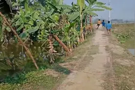 小伙打电话中拖鞋抠脚丫，鞋却被人拿走了，结局让人爆笑不止视频封面