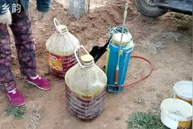 果农给葡萄打石硫合剂，用好了讲究真不少，你知道喷施最佳时间吗视频封面