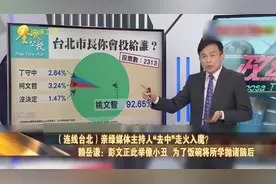 亲绿媒体主持人“去中”走火入魔？为了保饭碗 所学皆抛像小丑视频封面