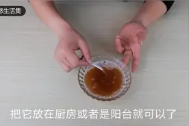 巧用洗衣粉加红糖自制灭蝇神奇，了解一下