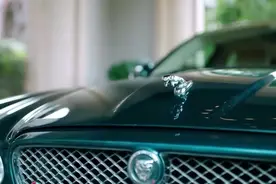 推手：柳少代表梅道远和尚嘉集团谈判，帅气出场视频封面