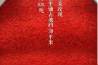 叶茂中谈营销--爱情的重量是零点七五吨图片
