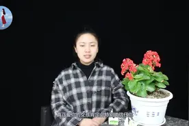 异地恋必须每天聊天吗？听听前辈是怎么说的，一点瑕疵都没有
