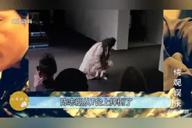 陈志朋走秀摔倒，鞋子瞬间被甩飞！画面看起来让人心酸又尴尬。视频封面