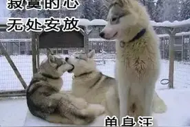 情人节，遇到一个不解风情的Ta是种什么感受图片