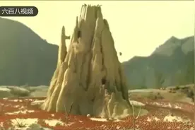 动画片，红蚂蚁和黑蚂蚁之间的攻城战，谁能笑到最后呢视频封面