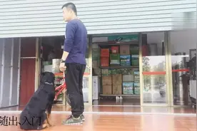 「五一福利」揭阳训犬师为你展示罗威纳柠乐训练成果-值得收藏