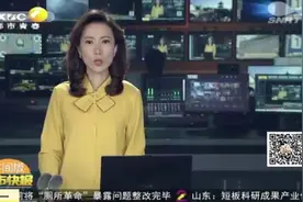 陕西：清明假期全省接待游客1825.79万人次，旅游收入93.99亿元视频封面