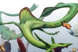 口袋妖怪复刻裂空座mega配招攻略 裂空座mega配招大全图片