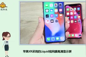 苹果X与XR区别有哪些？