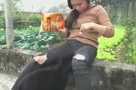 性感表妹喂狗狗吃薯片，一直在捉弄狗狗，最后狗狗都急眼了！