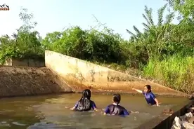 三姐妹在荒野水池里游泳, 突然水面上游过来一条可怕的蛇, 好吓人视频封面