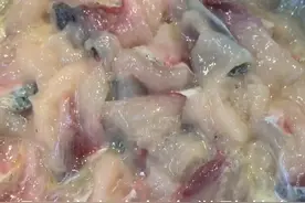 一看就会几十年老师傅不外传的腌制鱼片方法，嫩滑爽口。明天更新酸菜鱼片。（铁粉：里面有彩蛋哦）@抖音小助手视频封面