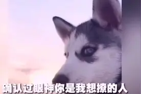 最适合告白的三首歌，据说成功率高达百分之九十九！