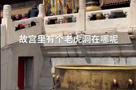 故宫里有个老虎洞，就在皇帝卧室的下面，难道是皇帝喜欢和老虎一起就寝#故宫视频封面