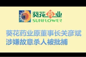 上市公司葵花药业原董事长关彦斌涉嫌故意杀人被批捕！⑥#财产分割 #前妻 @抖音小助手视频封面