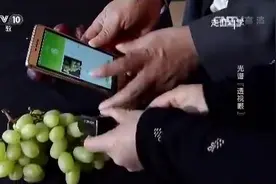 这个新技术真厉害，百姓竟然可以用手机快速检测食品的农残和真假视频封面
