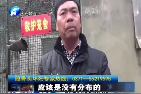 “大老鼠”进村，误遭村民追打，谁料竟是一级保护动物视频封面