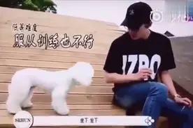 十分钟带你了解真实的二次元EXO忙内吴世勋视频封面