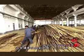 中国在缅甸投资建大型造纸工厂，用竹子做原料效益远超国内视频封面