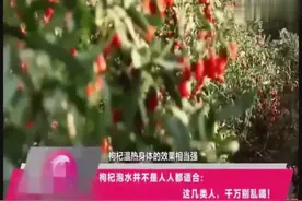 这几类人千万不能喝枸杞泡水了！小心身体越补越差
