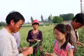 邯郸成安县：蒜苔卖1.7一斤的秘密！视频封面