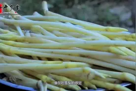 脆嫩银苗菜你知道是什么吗？市场上卖的不便宜呢，一般人都没吃过视频封面
